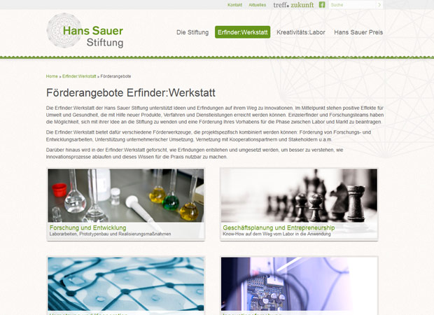 Screenshot Webseite Hans Sauer Stiftung